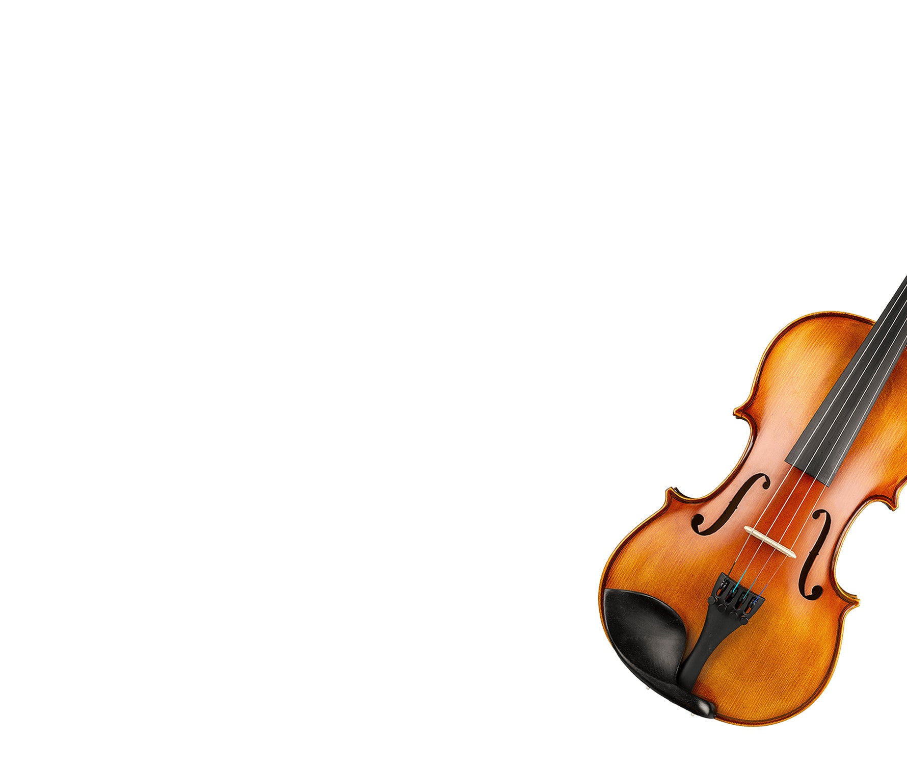 Studio Quartet Violin Viola Cello Bass