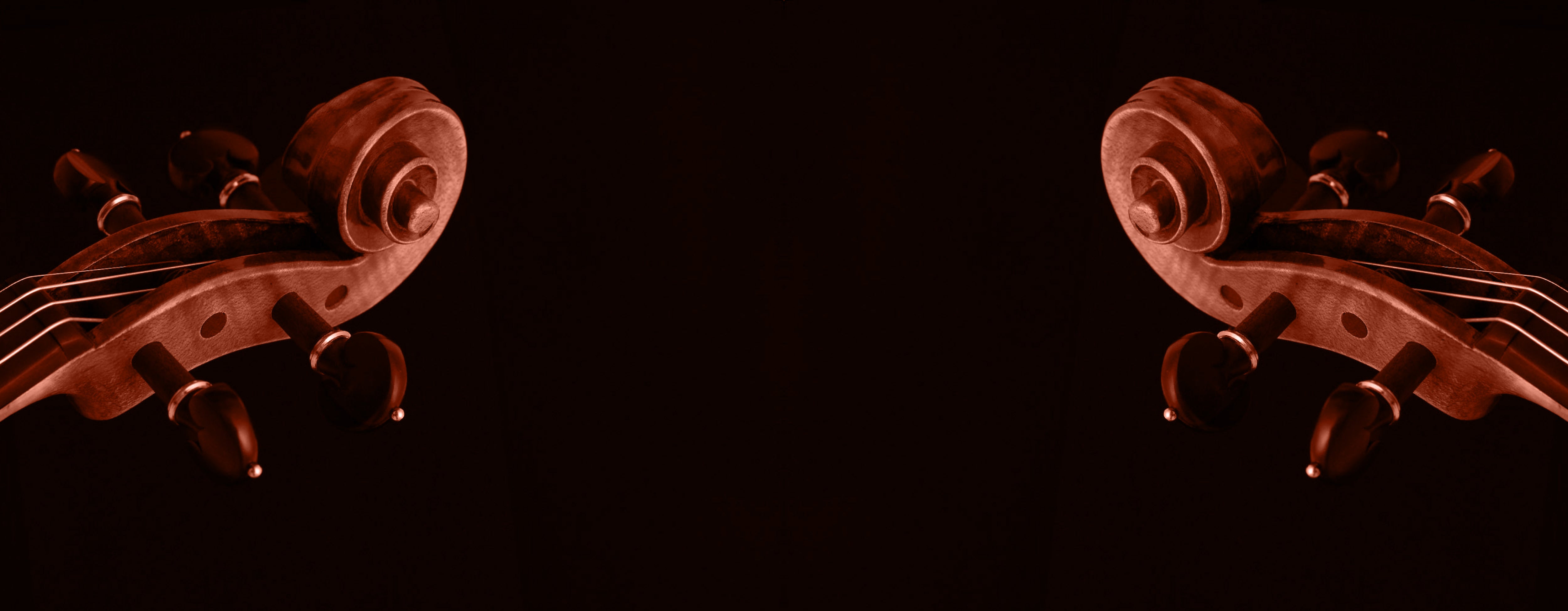 Intimate Studio Strings