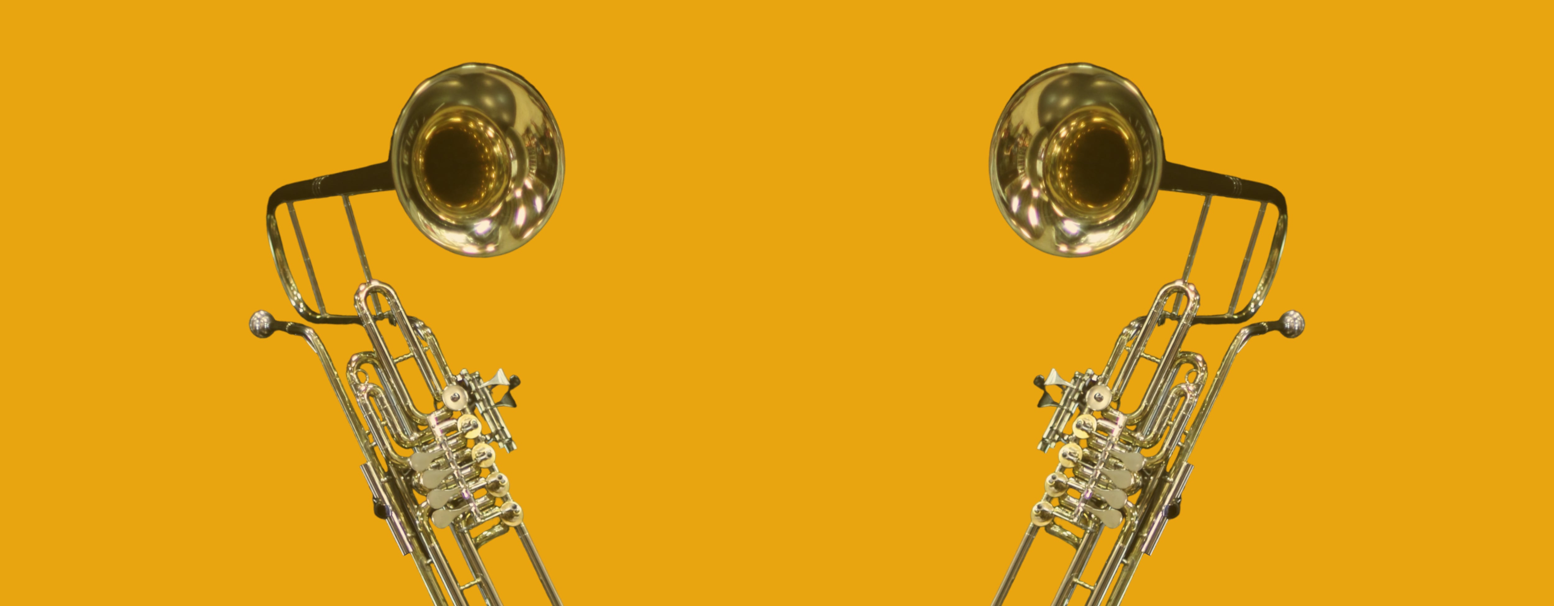 Century Artisan Brass Cimbasso