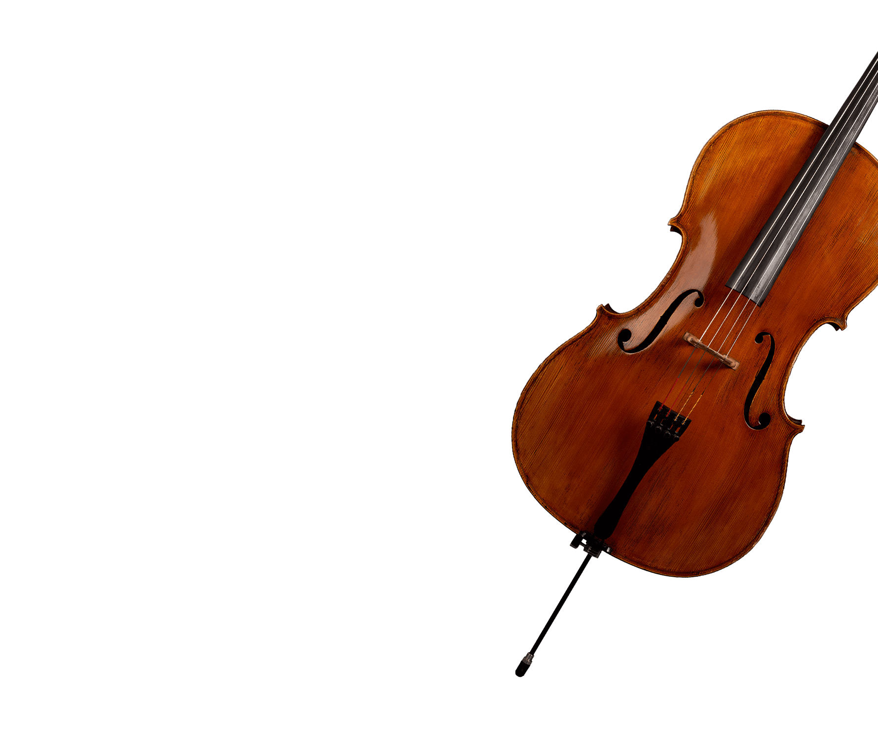 Solo Cello Designer - 8Dio Phrase-based Cello for Kontakt VST/AU Solo Cello Designer - 8Dio Phrase-based Cello for Kontakt VST/AU