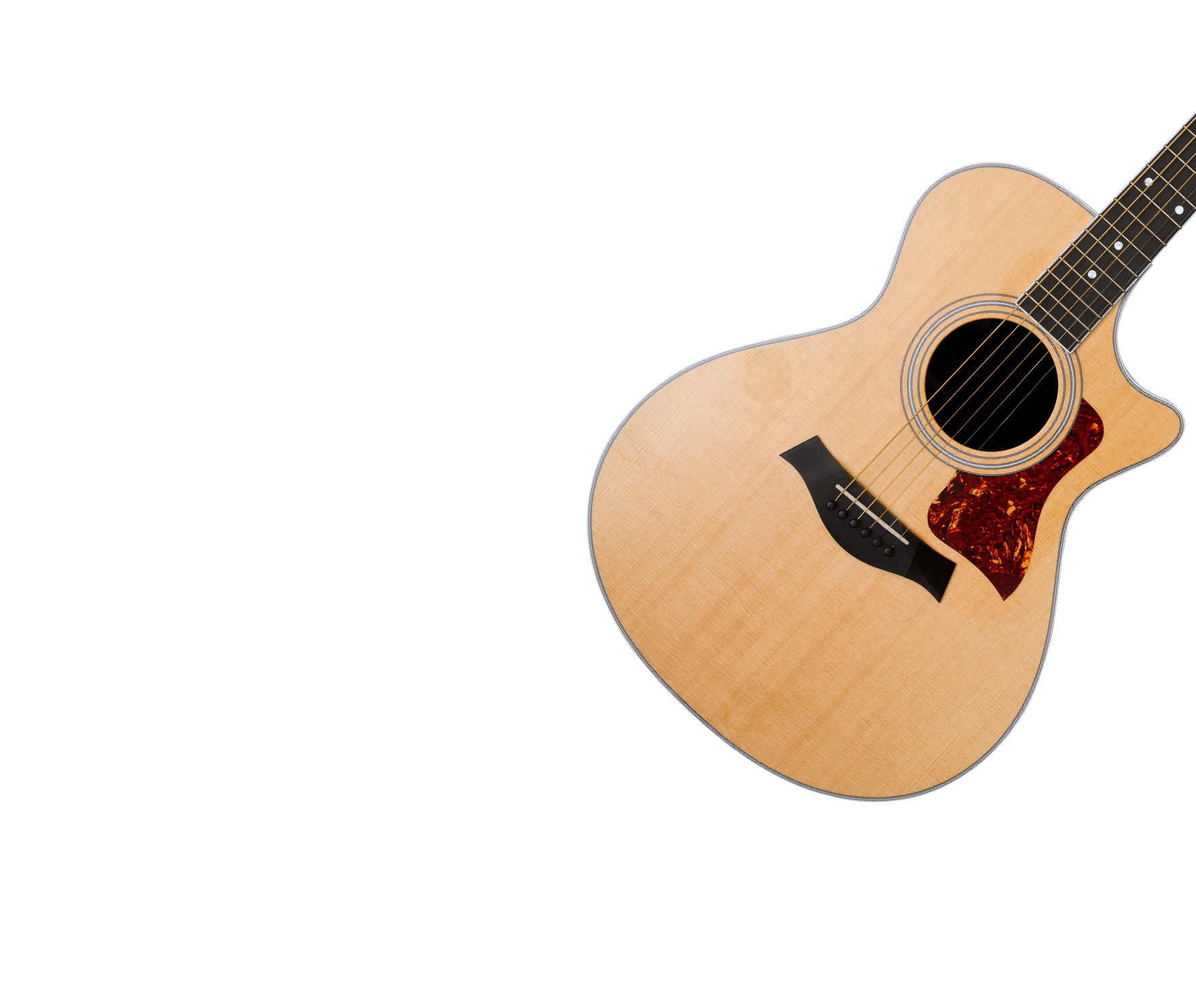 Instant Guitar Series Steel String Guitar Bundle Solo and Strummer