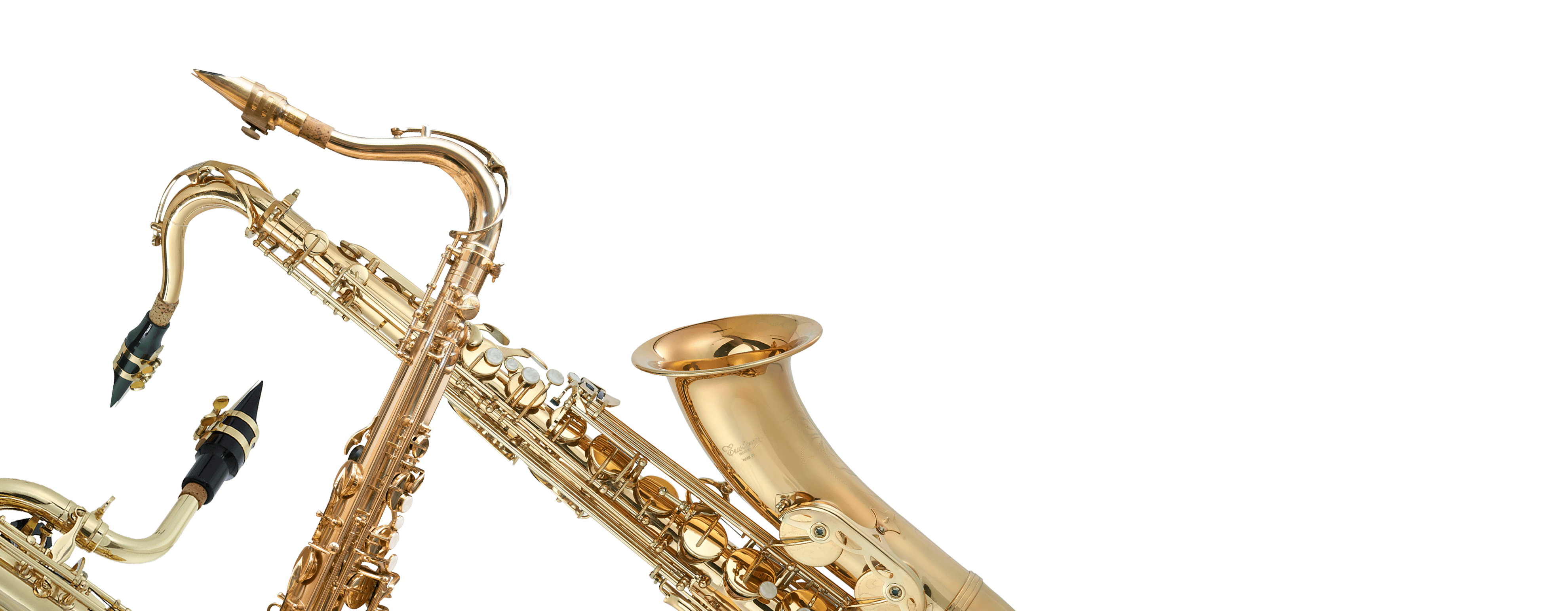 Alto Saxophone Expression XP2 Master - Saxophonic - passion and profession