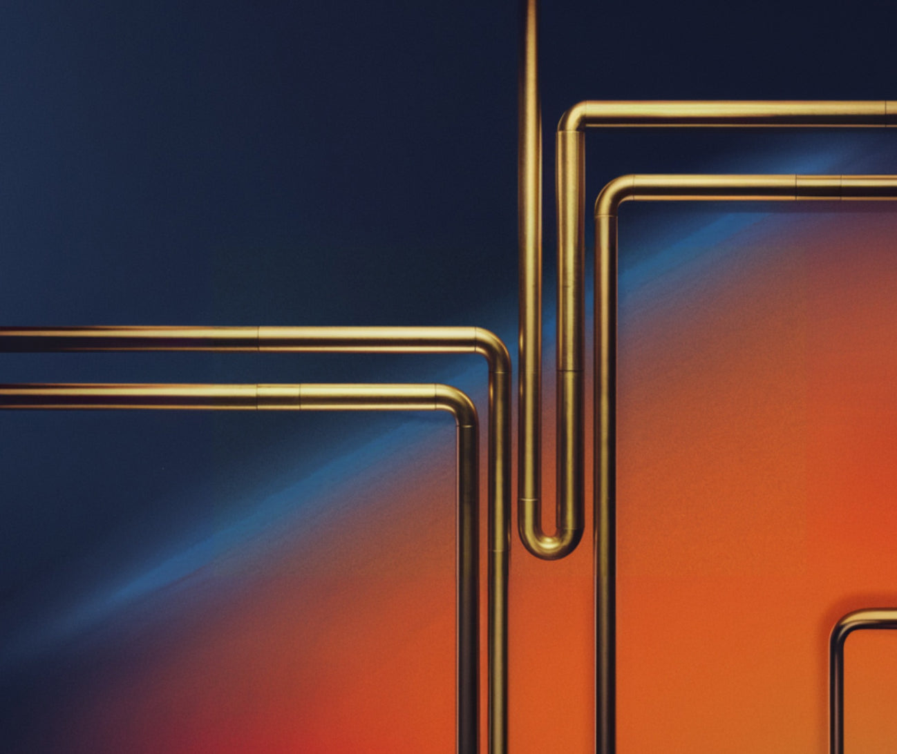 collection banner
