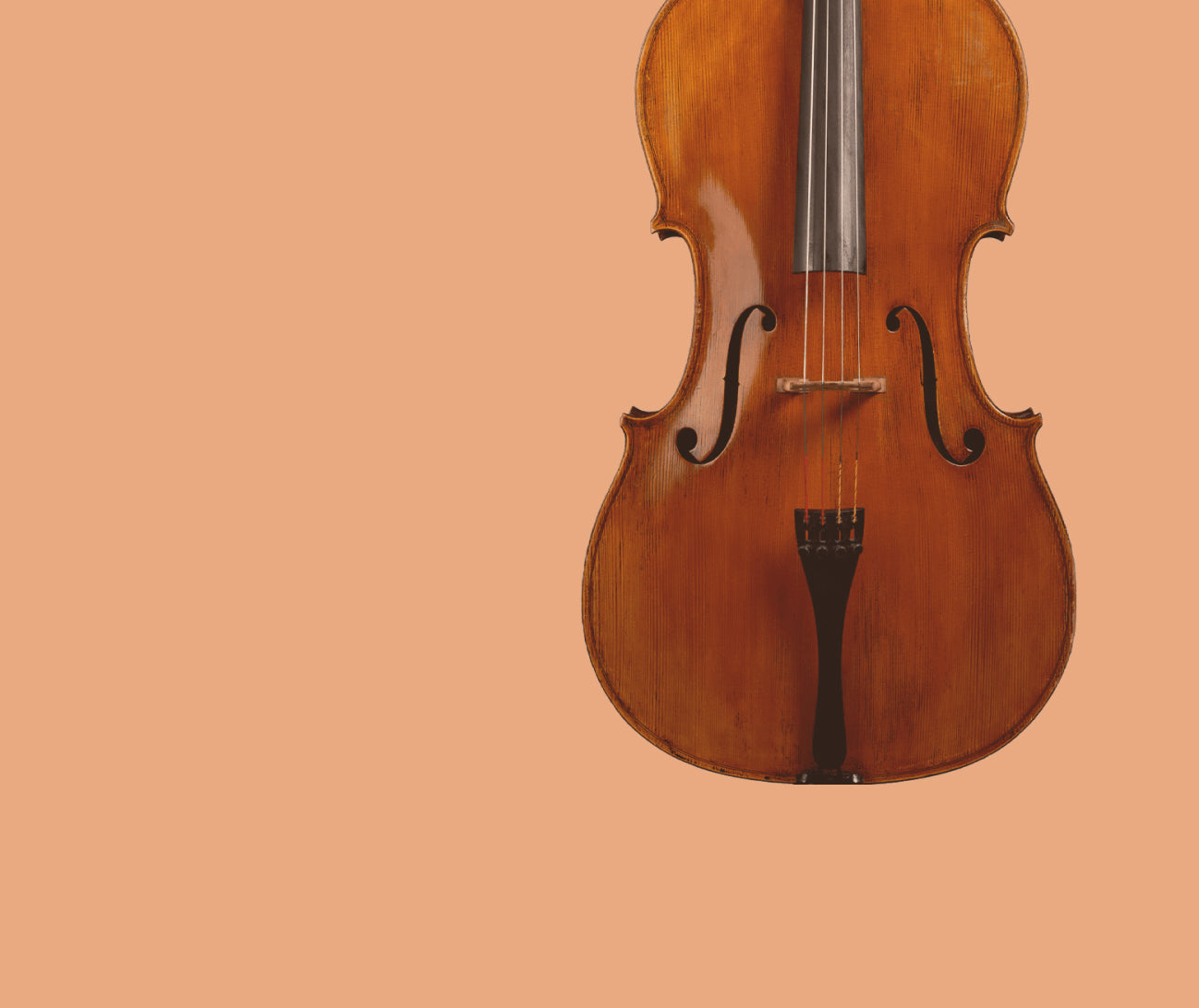 8dio String Collection: String Libraries for Kontakt VST, AU, AAX ...