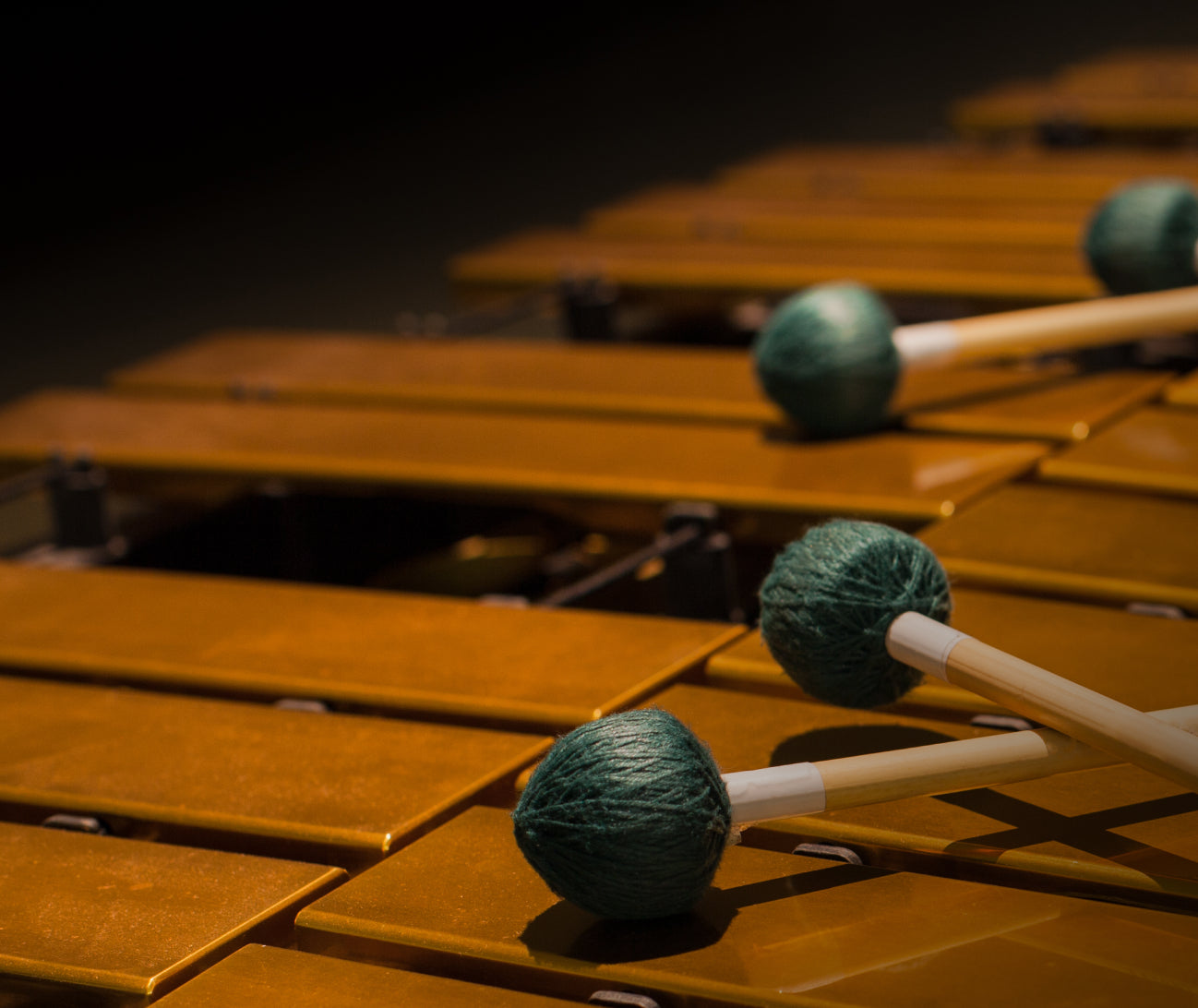 8Dio Studio Percussion Bundle - 173 Instruments for Kontakt VST – 8dio.com