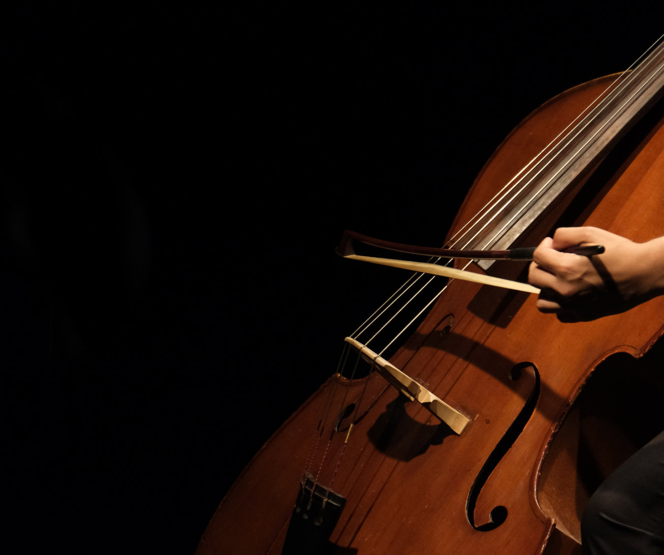 8dio Basses: Bass Instruments for Kontakt VST, AU, AAX β 8dio.com