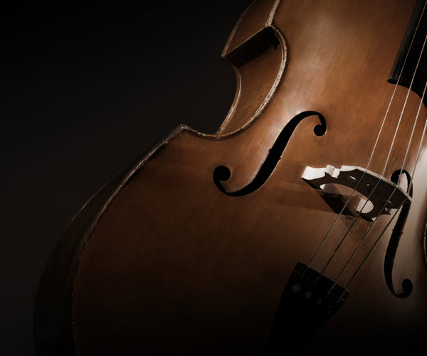 Studio Series: Deep Solo Cello - 8Dio Solo Cello for Kontakt VST