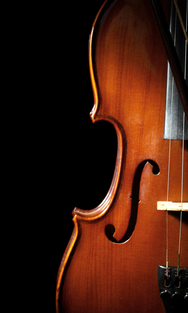 8dio String Collection: String Libraries for Kontakt VST, AU, AAX ...