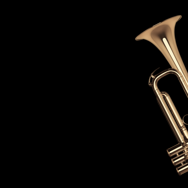 <br>the reign<br>
continues <br><br>
<font color="ffda61
"><b>
century<br>
brass solo<br>
trumpet<br></b></font>