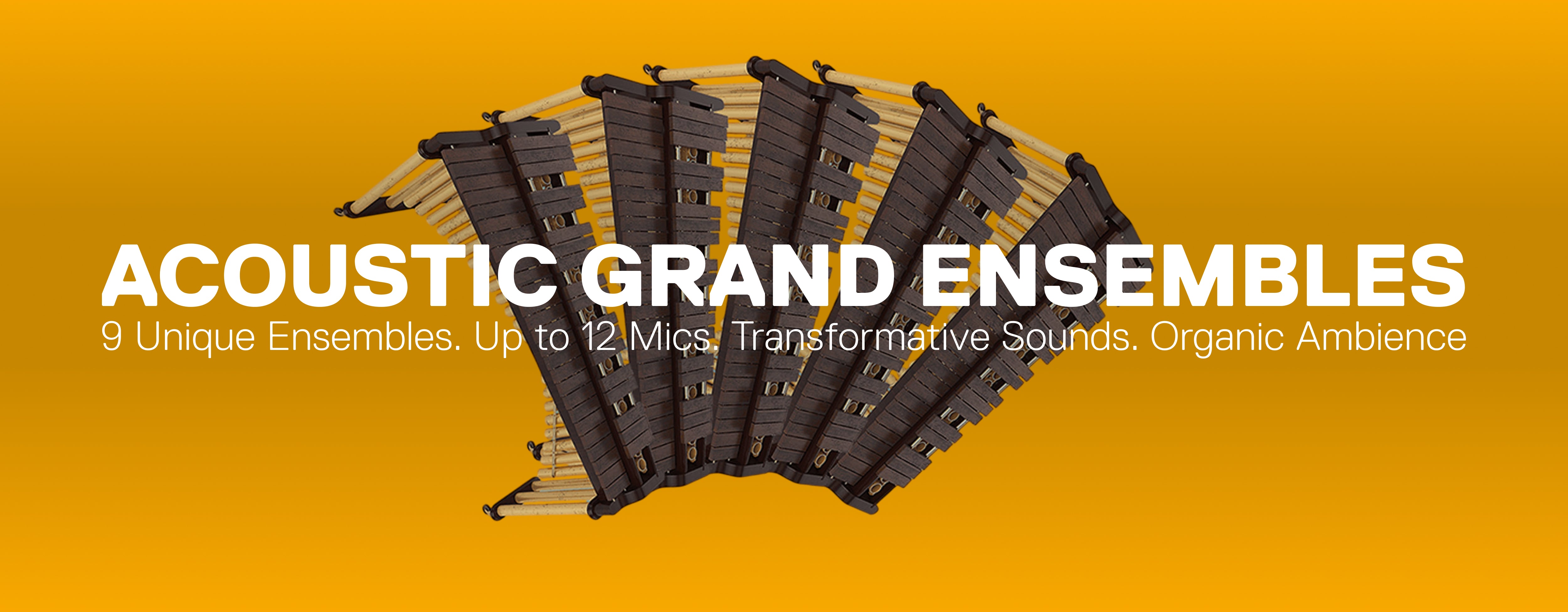 Acoustic Grand Ensembles AGE Bundle