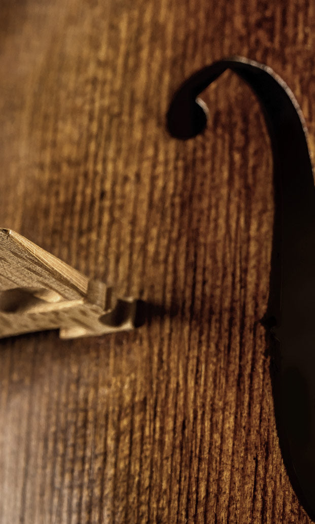 8dio String Collection: String Libraries for Kontakt VST, AU, AAX ...