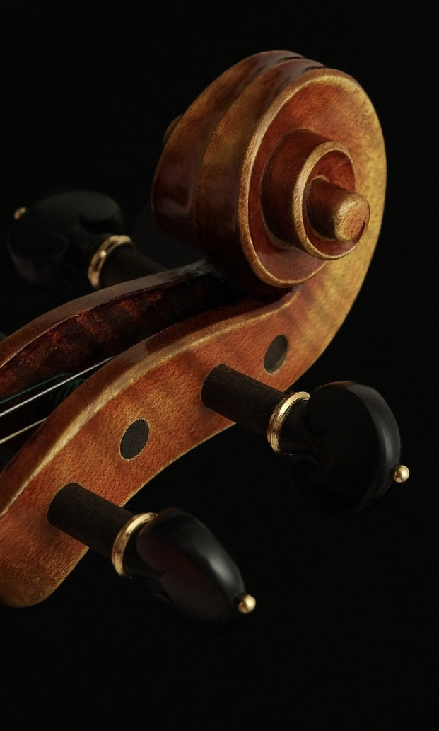 8dio String Collection: String Libraries for Kontakt VST, AU, AAX ...