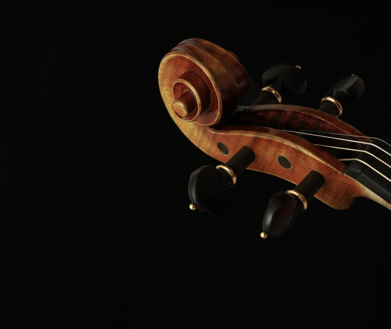 8dio String Collection: String Libraries for Kontakt VST, AU, AAX ...