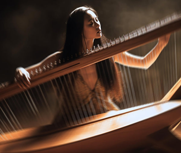 EverWave - 8Dio Custom String Instrument for Kontakt VST, AU, AAX