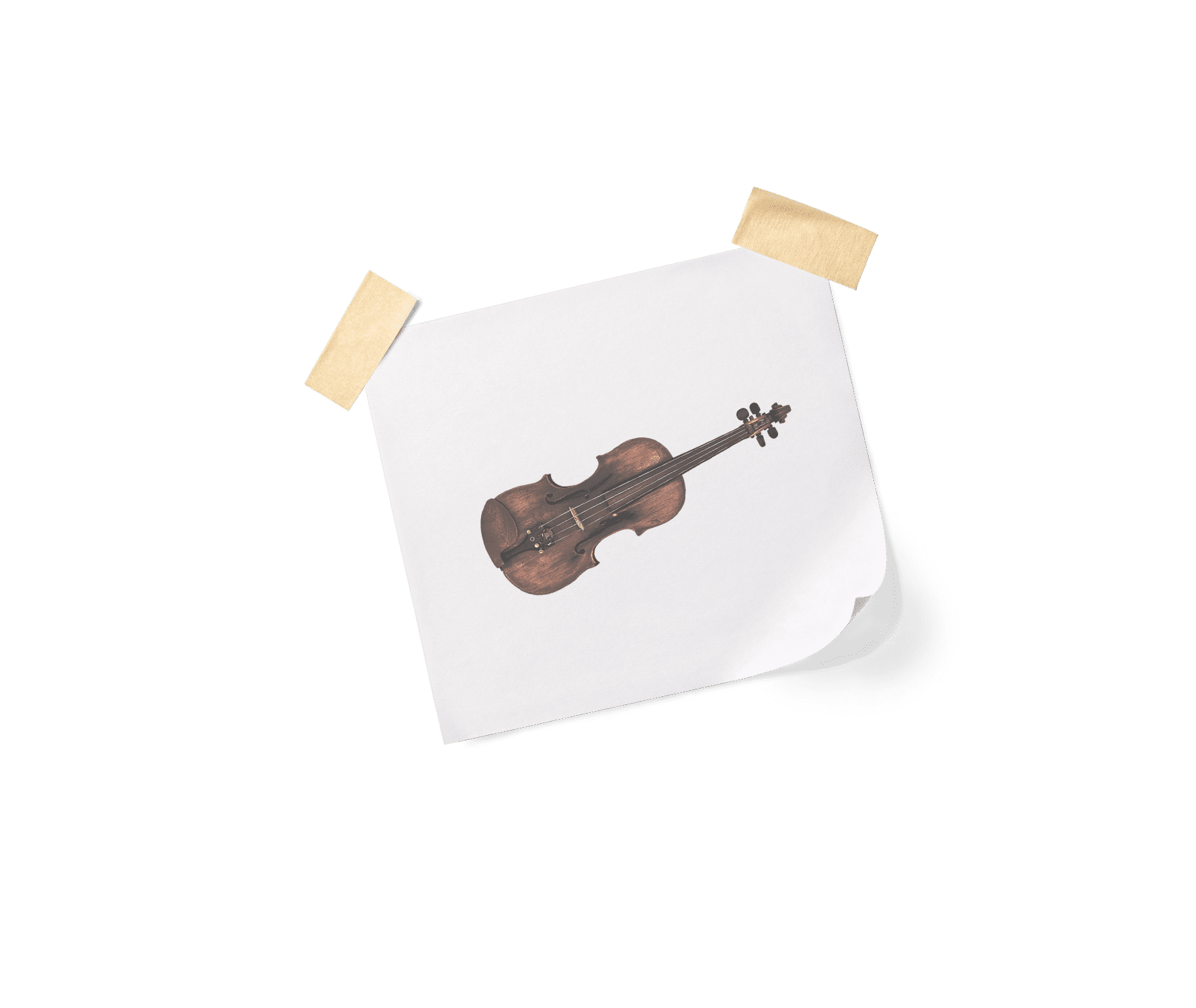 Misfit Fiddle - 8Dio Mistradivarous Fiddle for Kontakt VST/AU/AAX ...