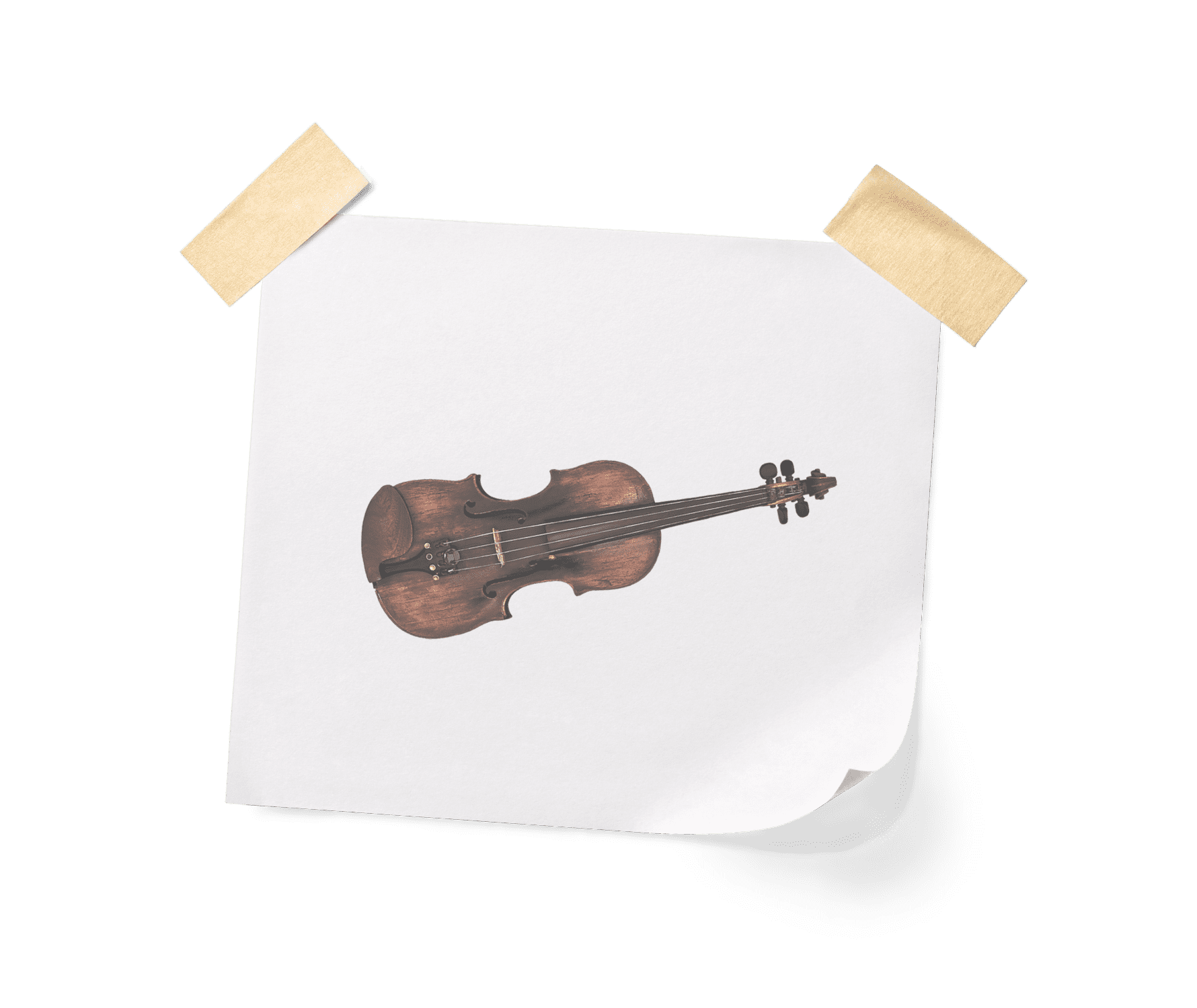 Misfit Fiddle - 8Dio Mistradivarous Fiddle for Kontakt VST/AU/AAX ...