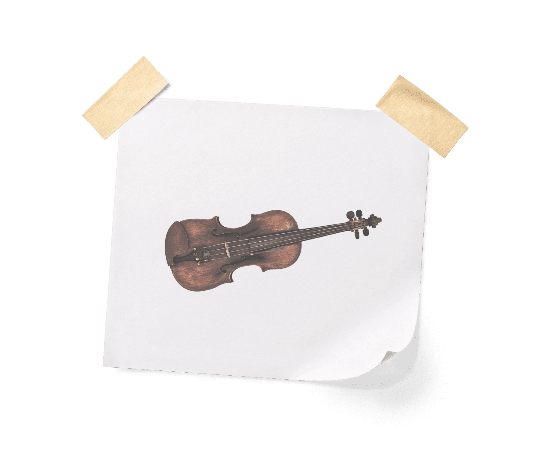 Celtic on sale fiddle vst