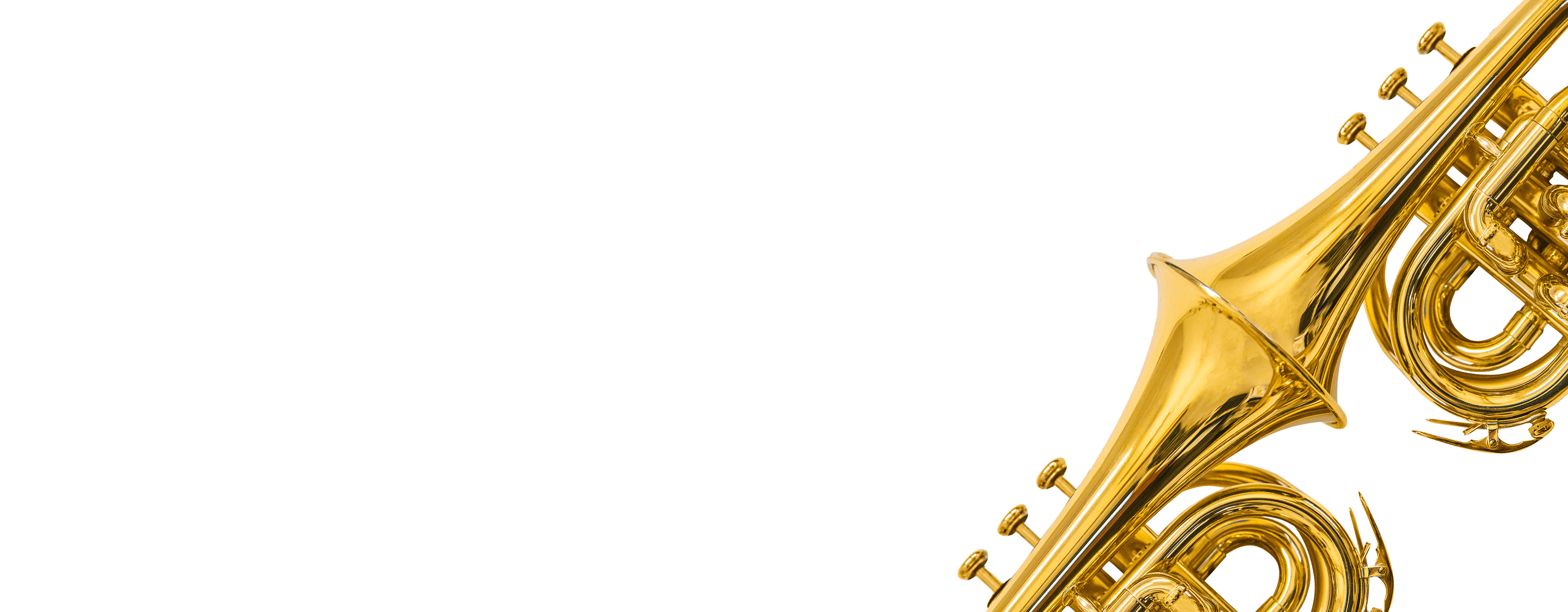 Century Artisan Brass Euphonium