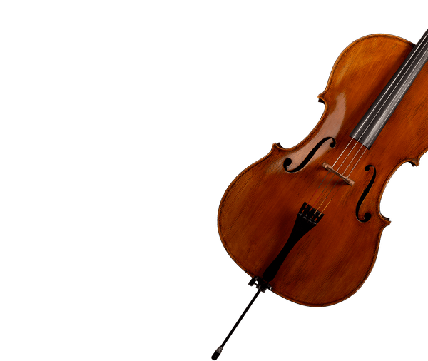cellosolocollectiongrid_8d8d22