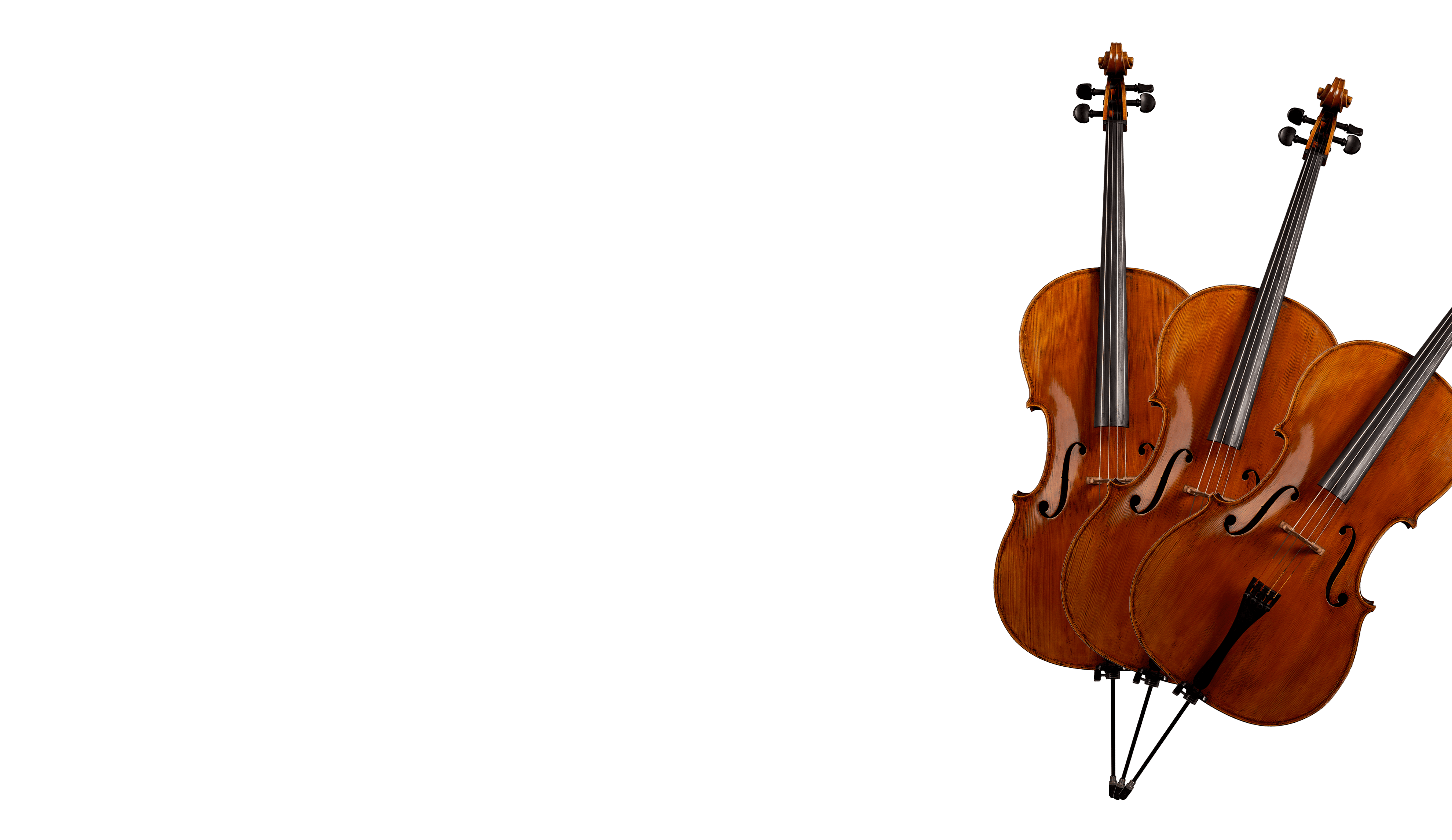 Violin kontakt. Скрипка Соло. Violinist конструктор. 8dio_solo_Studio_Violin Wallpaper. Warlock Violin Design.