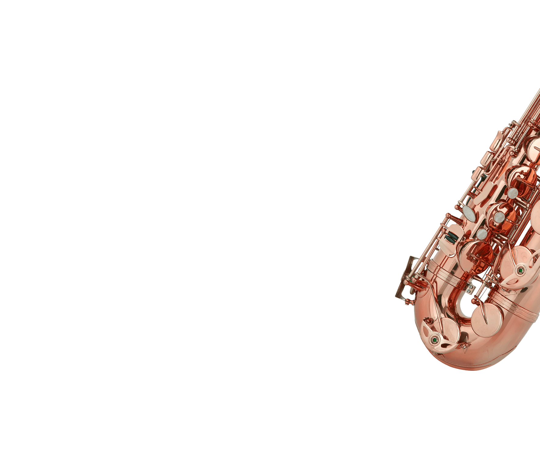 Century Brass Bundle (Ensemble and Solo) - 8Dio Brass Bundle