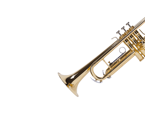 Soulful Studio Trumpet One - 8Dio Solo Trumpet for Kontakt VST/AU